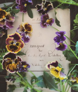 岐阜市花屋　岐阜花屋　GREENVEIL グリーンベール　グリーンヴェール　パンジー　